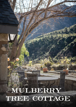 Mulberry Tree Cottage